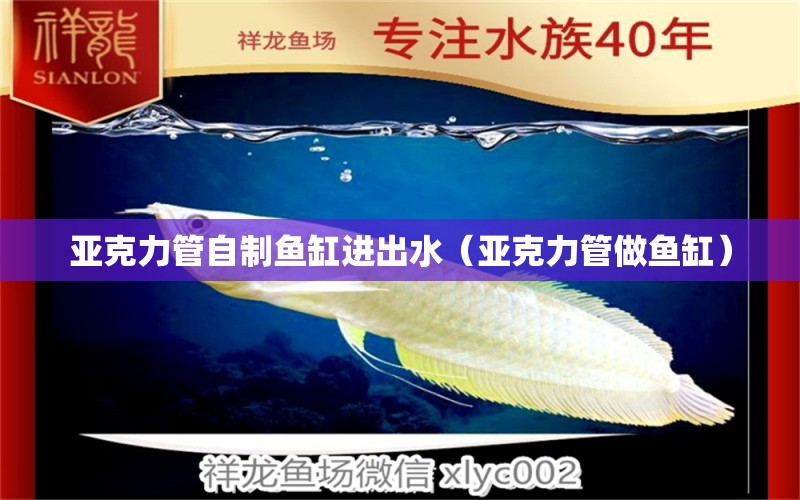 亞克力管自制魚缸進(jìn)出水（亞克力管做魚缸）