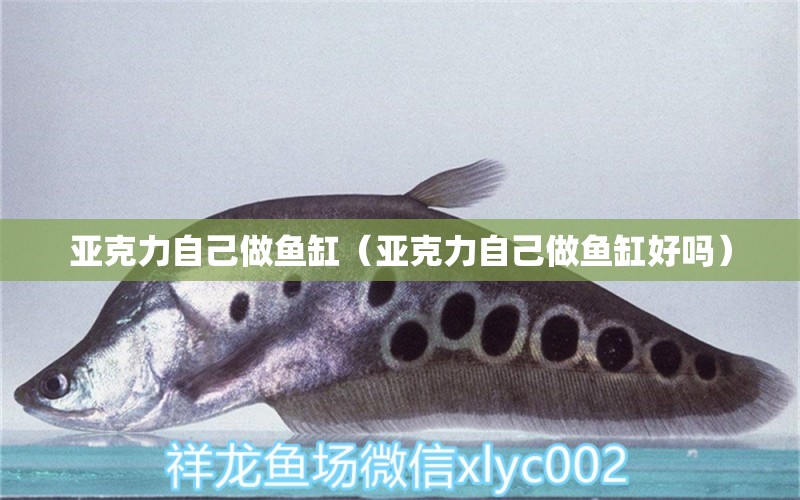 亞克力自己做魚缸（亞克力自己做魚缸好嗎）