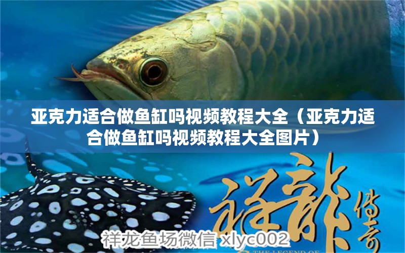 亞克力適合做魚缸嗎視頻教程大全（亞克力適合做魚缸嗎視頻教程大全圖片） 祥龍水族醫(yī)院