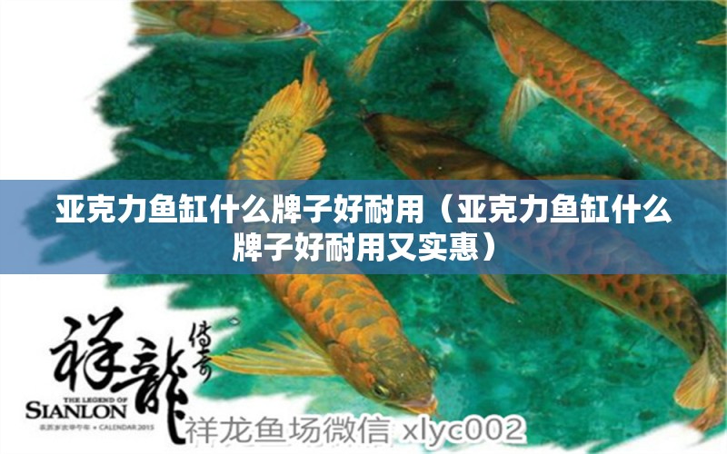 亞克力魚缸什么牌子好耐用（亞克力魚缸什么牌子好耐用又實(shí)惠） 魚缸定做