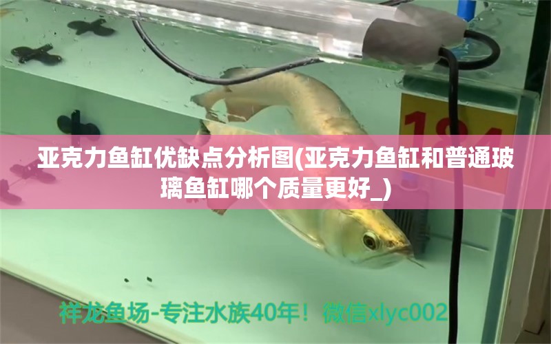 亞克力魚缸優(yōu)缺點分析圖(亞克力魚缸和普通玻璃魚缸哪個質(zhì)量更好_) 三間鼠魚