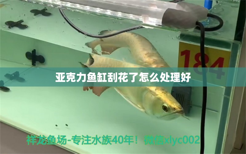 亞克力魚缸刮花了怎么處理好 觀賞魚