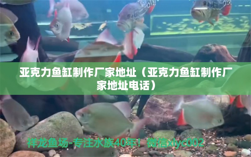 亞克力魚缸制作廠家地址（亞克力魚缸制作廠家地址電話） 祥龍魚場(chǎng)