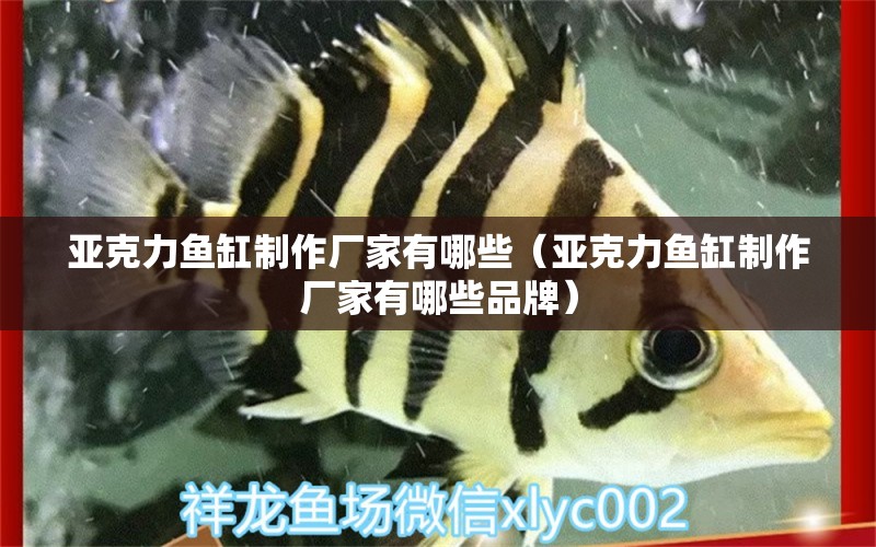 亞克力魚(yú)缸制作廠家有哪些（亞克力魚(yú)缸制作廠家有哪些品牌）