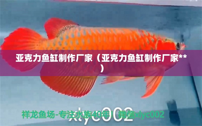 亞克力魚(yú)缸制作廠家（亞克力魚(yú)缸制作廠家**）