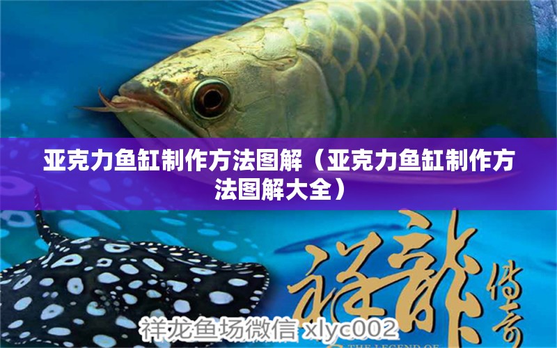 亞克力魚缸制作方法圖解（亞克力魚缸制作方法圖解大全） 其他品牌魚缸