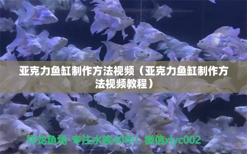 亞克力魚(yú)缸制作方法視頻（亞克力魚(yú)缸制作方法視頻教程）