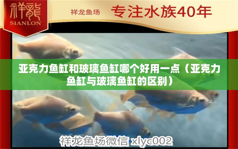 亞克力魚缸和玻璃魚缸哪個(gè)好用一點(diǎn)（亞克力魚缸與玻璃魚缸的區(qū)別）