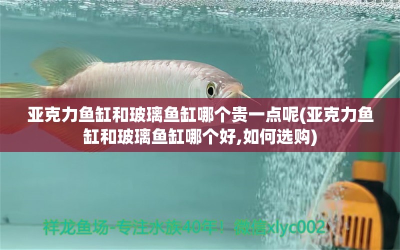 亞克力魚缸和玻璃魚缸哪個貴一點呢(亞克力魚缸和玻璃魚缸哪個好,如何選購) 過濾設備