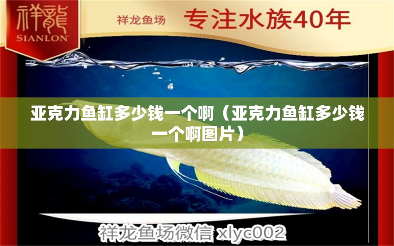 亞克力魚(yú)缸多少錢(qián)一個(gè)啊（亞克力魚(yú)缸多少錢(qián)一個(gè)啊圖片） 其他品牌魚(yú)缸