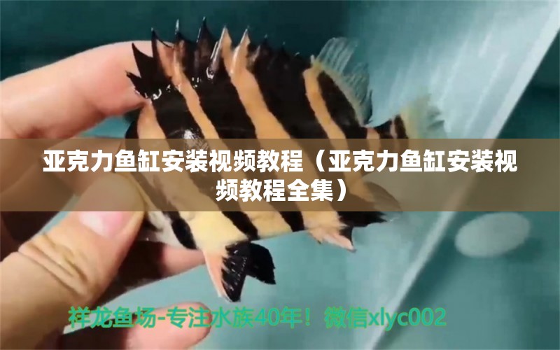 亞克力魚缸安裝視頻教程（亞克力魚缸安裝視頻教程全集） 其他品牌魚缸