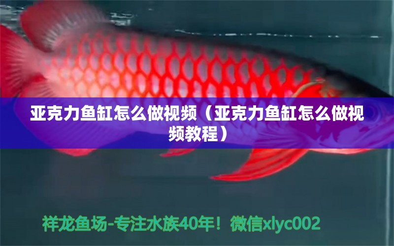 亞克力魚(yú)缸怎么做視頻（亞克力魚(yú)缸怎么做視頻教程）