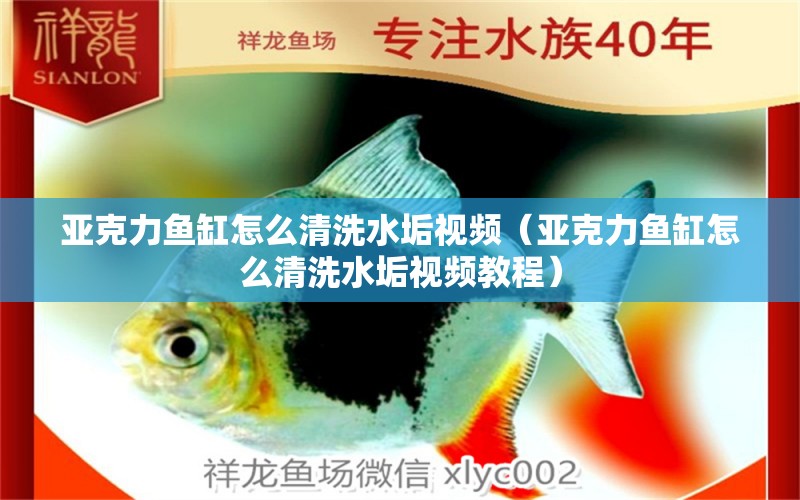 亞克力魚缸怎么清洗水垢視頻（亞克力魚缸怎么清洗水垢視頻教程） 水族雜談