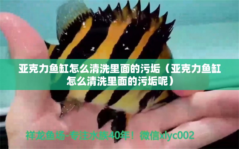 亞克力魚缸怎么清洗里面的污垢（亞克力魚缸怎么清洗里面的污垢呢）