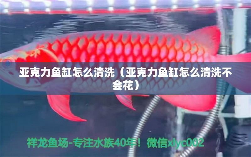 亞克力魚缸怎么清洗（亞克力魚缸怎么清洗不會(huì)花） 其他品牌魚缸