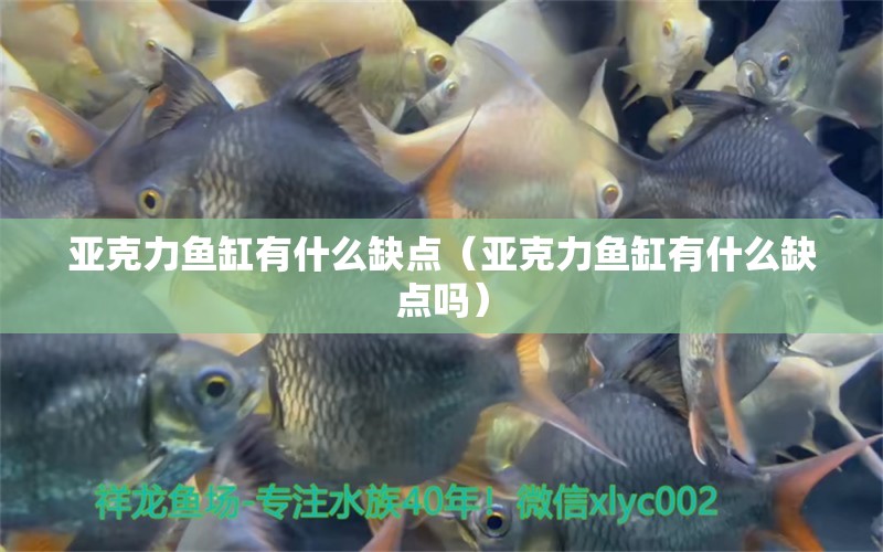 亞克力魚缸有什么缺點(diǎn)（亞克力魚缸有什么缺點(diǎn)嗎） 其他品牌魚缸 第2張