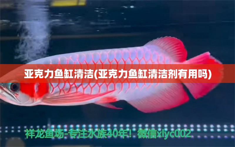 亞克力魚缸清潔(亞克力魚缸清潔劑有用嗎) 紅白錦鯉魚