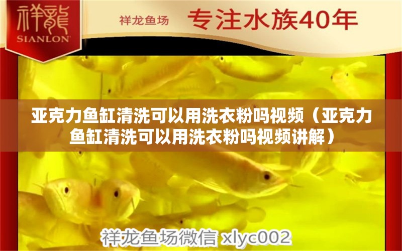 亞克力魚缸清洗可以用洗衣粉嗎視頻（亞克力魚缸清洗可以用洗衣粉嗎視頻講解） 祥龍水族醫(yī)院