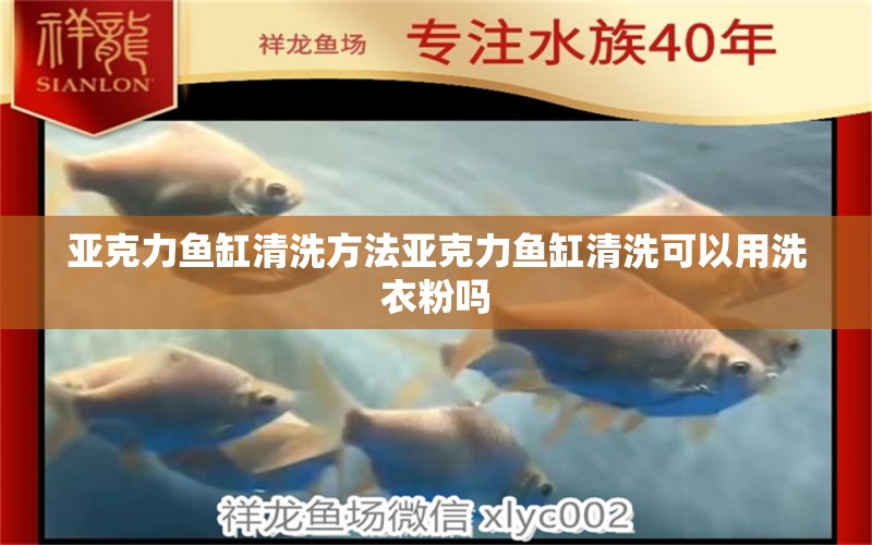 亞克力魚缸清洗方法亞克力魚缸清洗可以用洗衣粉嗎