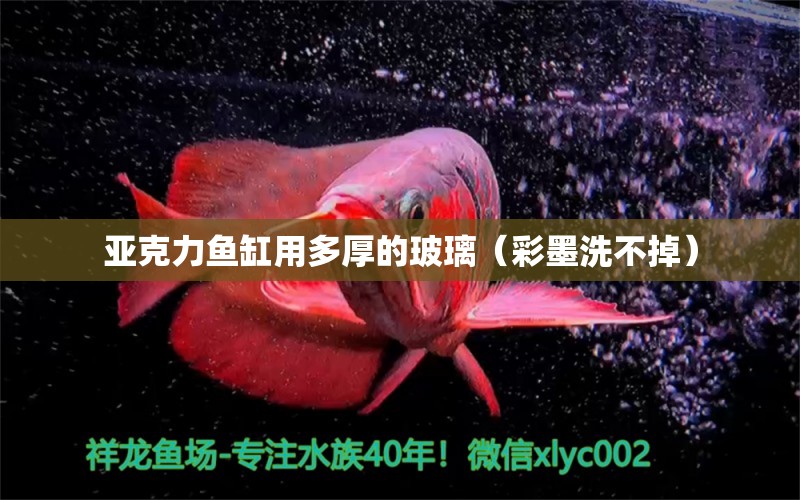 亞克力魚(yú)缸用多厚的玻璃（彩墨洗不掉） 廣州觀(guān)賞魚(yú)批發(fā)市場(chǎng)