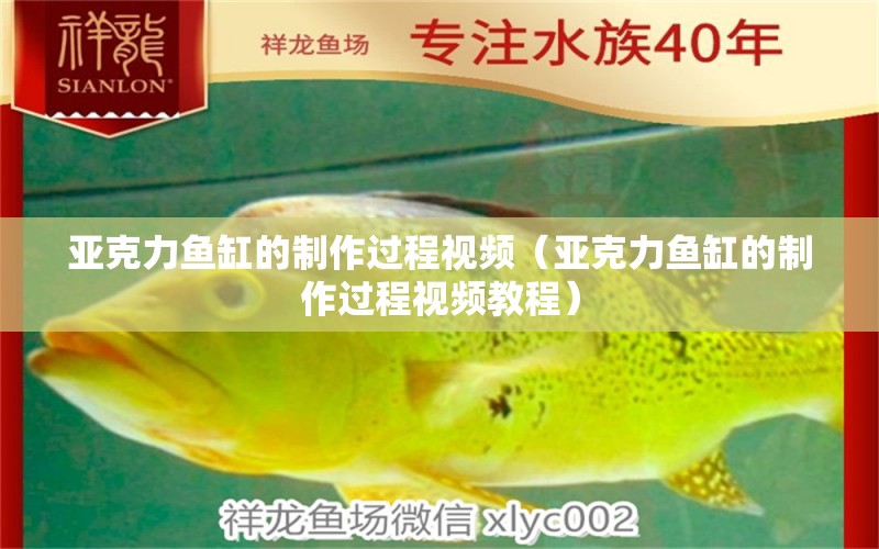 亞克力魚缸的制作過程視頻（亞克力魚缸的制作過程視頻教程）