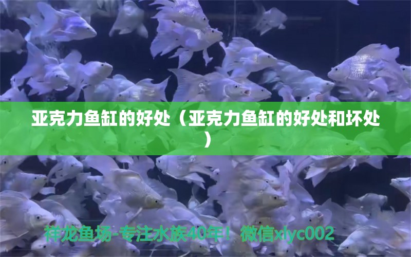 亞克力魚缸的好處（亞克力魚缸的好處和壞處）