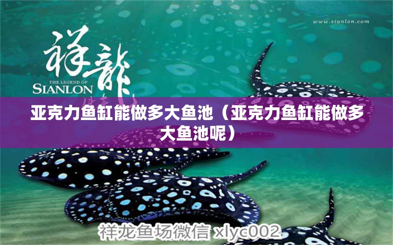 亞克力魚缸能做多大魚池（亞克力魚缸能做多大魚池呢） 其他品牌魚缸