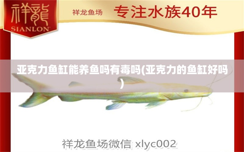 亞克力魚(yú)缸能養(yǎng)魚(yú)嗎有毒嗎(亞克力的魚(yú)缸好嗎) 元寶鳳凰魚(yú)專(zhuān)用魚(yú)糧