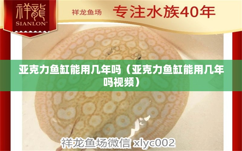 亞克力魚(yú)缸能用幾年嗎（亞克力魚(yú)缸能用幾年嗎視頻）