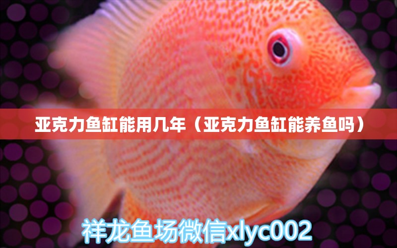 亞克力魚缸能用幾年（亞克力魚缸能養(yǎng)魚嗎） 水溫計(jì)