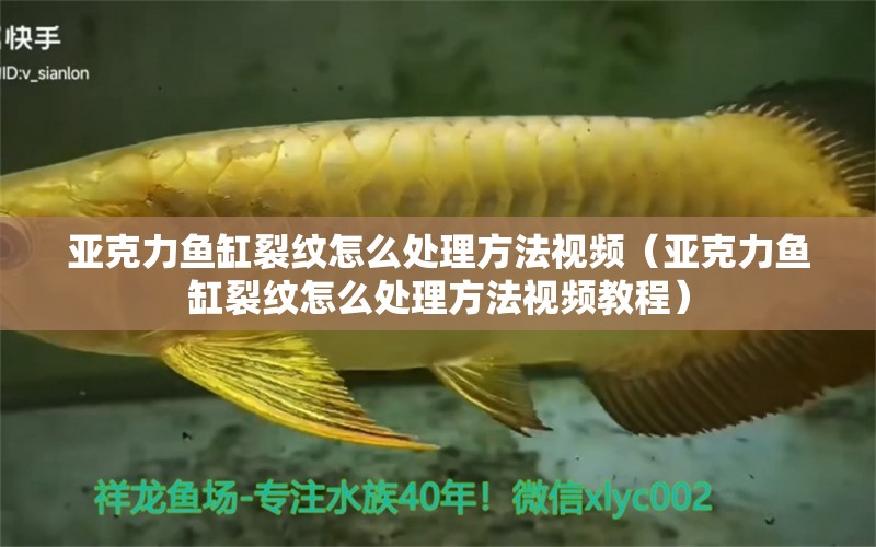 亞克力魚缸裂紋怎么處理方法視頻（亞克力魚缸裂紋怎么處理方法視頻教程）