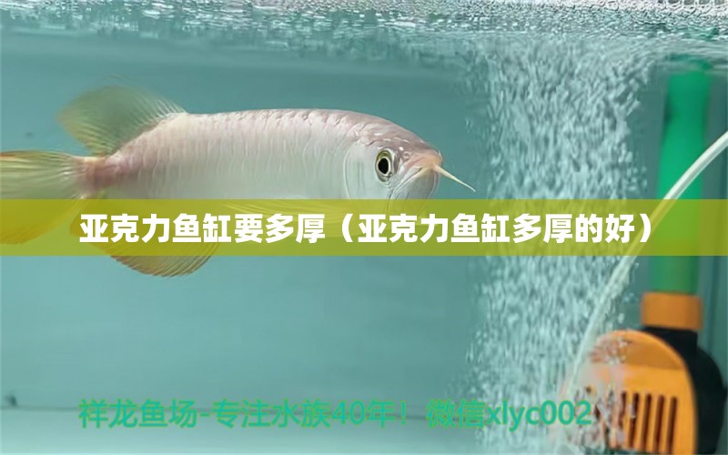 亞克力魚缸要多厚（亞克力魚缸多厚的好）