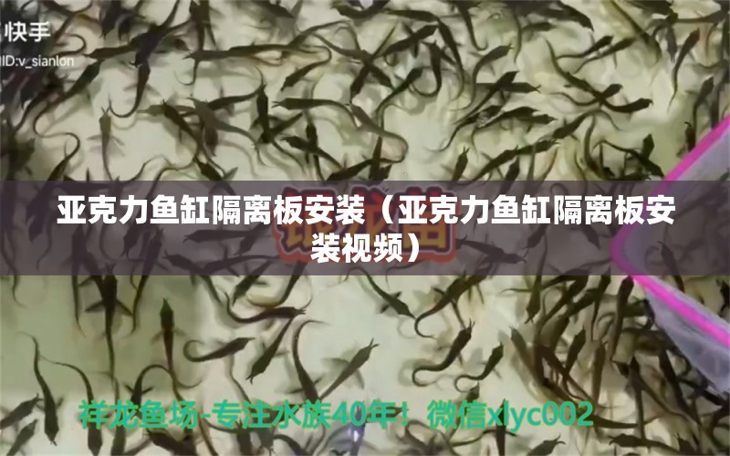 亞克力魚缸隔離板安裝（亞克力魚缸隔離板安裝視頻）