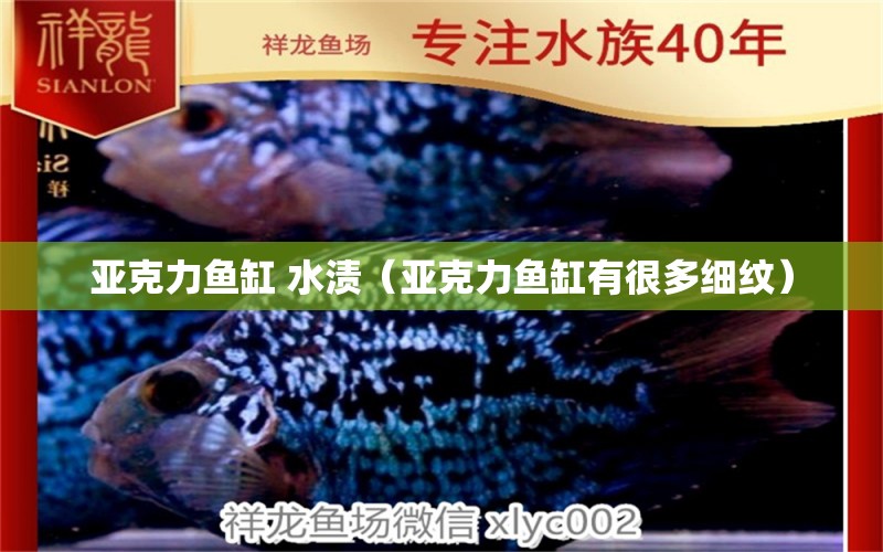 亞克力魚(yú)缸 水漬（亞克力魚(yú)缸有很多細(xì)紋） 哥倫比亞巨暴魚(yú)苗