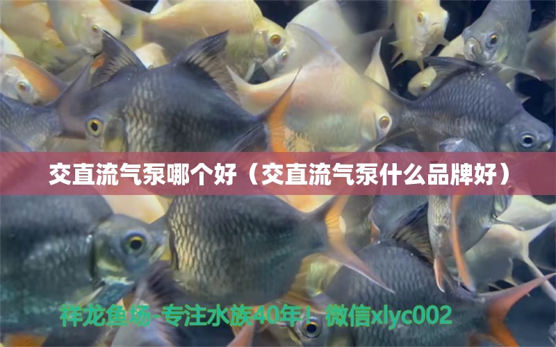 交直流氣泵哪個好（交直流氣泵什么品牌好） 森森魚缸