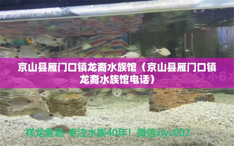 京山縣雁門口鎮(zhèn)龍裔水族館（京山縣雁門口鎮(zhèn)龍裔水族館電話）