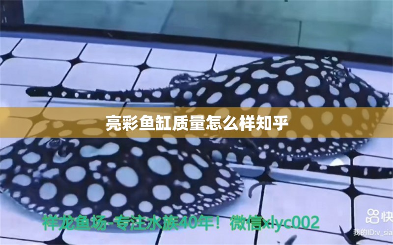 亮彩魚缸質(zhì)量怎么樣知乎