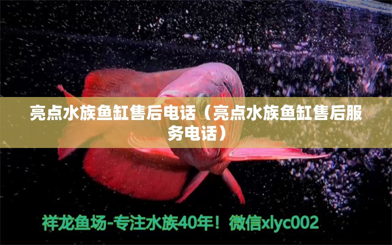 亮點水族魚缸售后電話（亮點水族魚缸售后服務(wù)電話） 觀賞魚市場（混養(yǎng)魚）