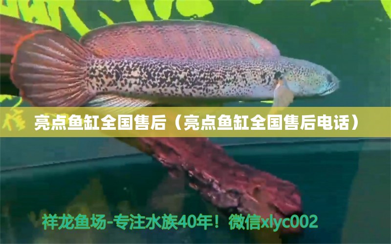 亮點(diǎn)魚(yú)缸全國(guó)售后（亮點(diǎn)魚(yú)缸全國(guó)售后電話） 祥龍魚(yú)場(chǎng)