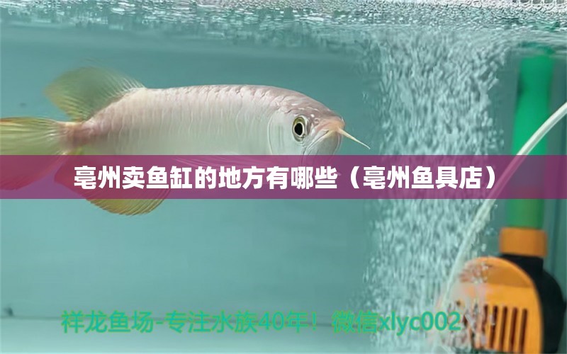 亳州賣魚缸的地方有哪些（亳州魚具店） 觀賞魚 第1張