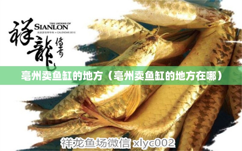 亳州賣魚缸的地方（亳州賣魚缸的地方在哪） 其他品牌魚缸