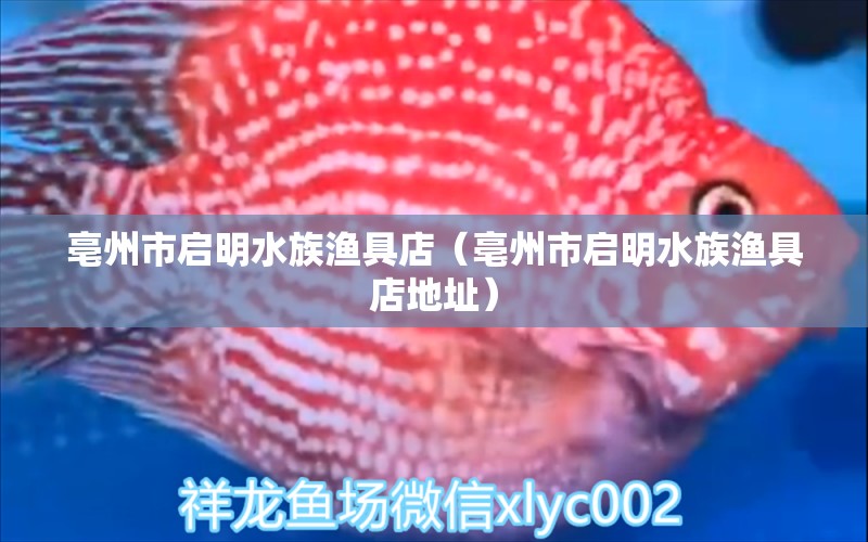 亳州市啟明水族漁具店（亳州市啟明水族漁具店地址）