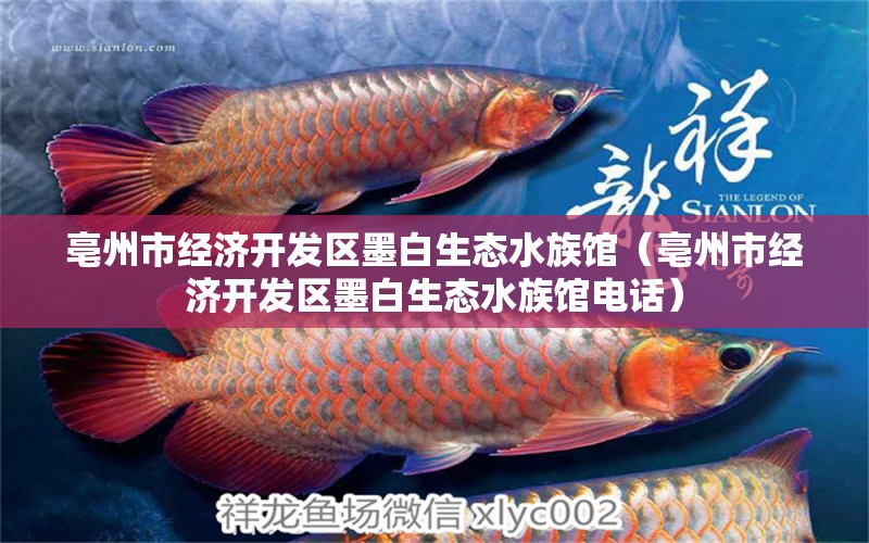 亳州市經(jīng)濟(jì)開發(fā)區(qū)墨白生態(tài)水族館（亳州市經(jīng)濟(jì)開發(fā)區(qū)墨白生態(tài)水族館電話）