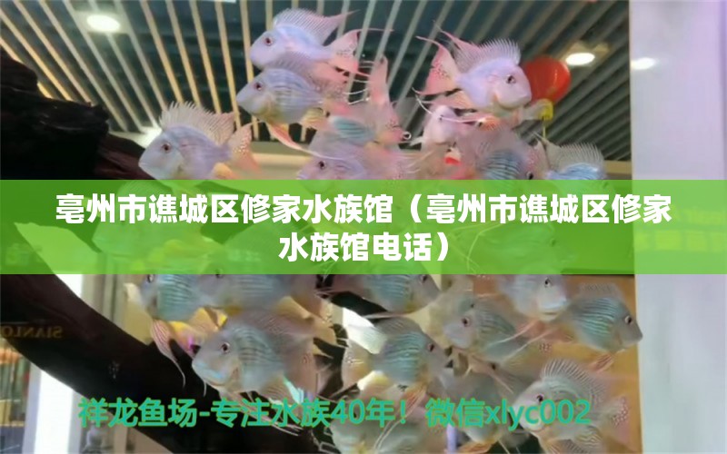 亳州市譙城區(qū)修家水族館（亳州市譙城區(qū)修家水族館電話）