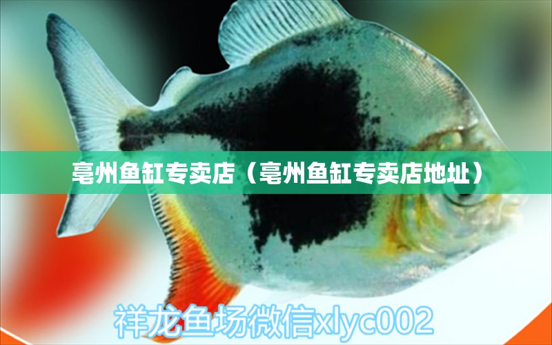 亳州魚缸專賣店（亳州魚缸專賣店地址） 其他品牌魚缸