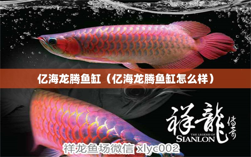 億海龍騰魚缸（億海龍騰魚缸怎么樣） 溫控設(shè)備