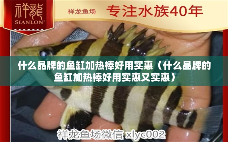 什么品牌的魚(yú)缸加熱棒好用實(shí)惠（什么品牌的魚(yú)缸加熱棒好用實(shí)惠又實(shí)惠） 黑白雙星魚(yú)