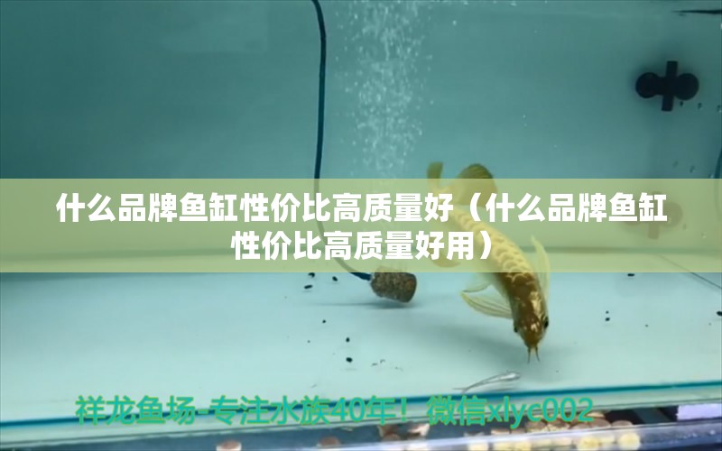 什么品牌魚缸性價比高質(zhì)量好（什么品牌魚缸性價比高質(zhì)量好用）