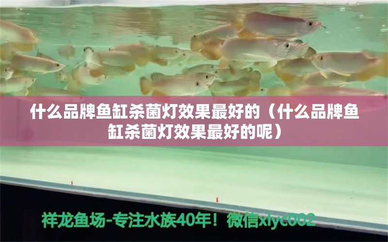 什么品牌魚缸殺菌燈效果最好的（什么品牌魚缸殺菌燈效果最好的呢）