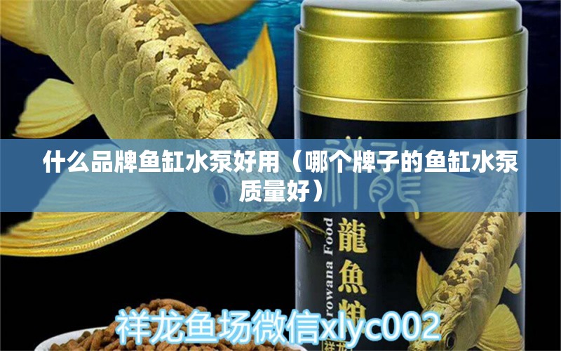 什么品牌魚缸水泵好用（哪個牌子的魚缸水泵質(zhì)量好） 魚缸水泵